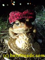 /home//u458753944/public_html/sourcegallery//Roxborough Toad Detour/2013-2019/2017/P4030707.JPG